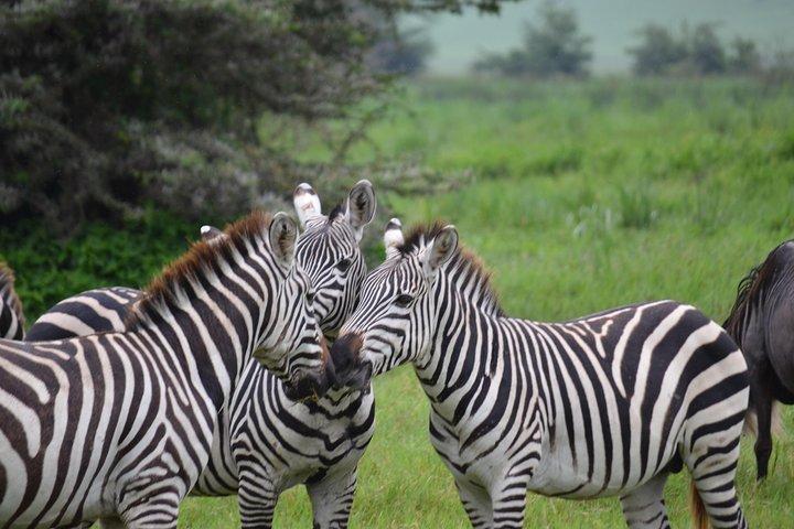 3 Days All Inclusive Zanzibar to Tarangire Ngorongoro