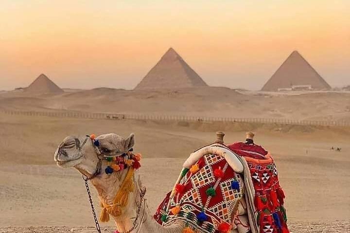 Day Tour at The Pyramids (Including Camel Ride & BBQ Dinner)
