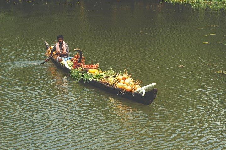 7 nights Private tour Cochin/Munnar/Thekkady/Houseboat/Kovalam