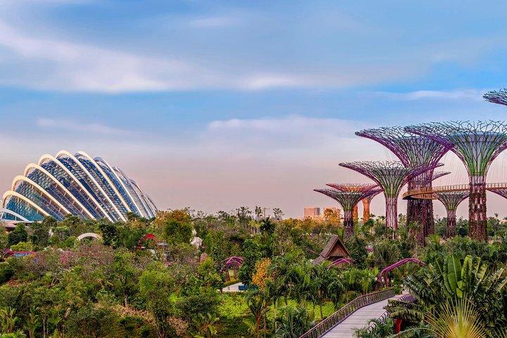 Gardens by the Bay & Marina Bay SkyPark with 2 Way Transfer