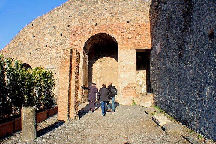 Private Pompeii & Herculaneum Archaeological sites tour from Rome