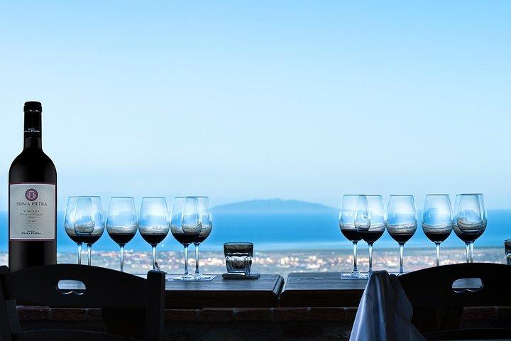 From Florence PRIVATE:Bolgheri Wine Tour,tasting among the Tuscany coastal hills