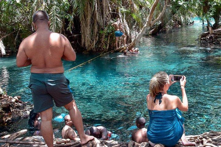 Kikuletwa Hotspring Day Tour
