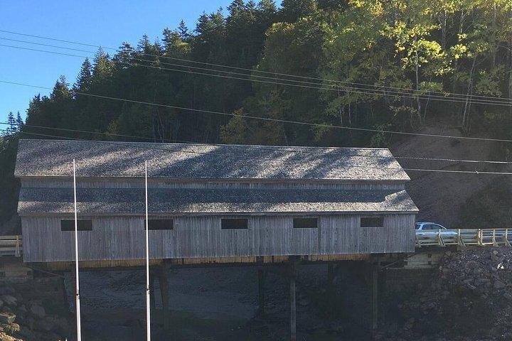 Bay of Fundy Tour by Bus