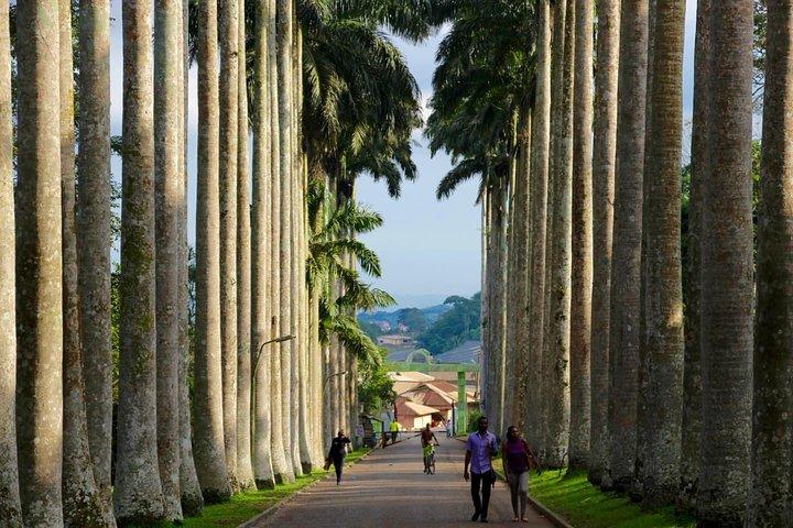 Ghana : Accra: Botanical Gardens, Cocoa Farms, Waterfalls Trip