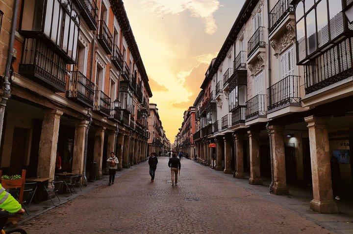 Alcala de Henares and Cervantes Guided Tour from Madrid