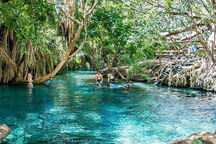 Private Tour to Materuni waterfalls, coffee tour & Kikuletwa hot- springs