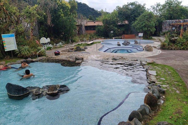 Papallacta Hot Springs & Cloud Forest Reserve Private Tour