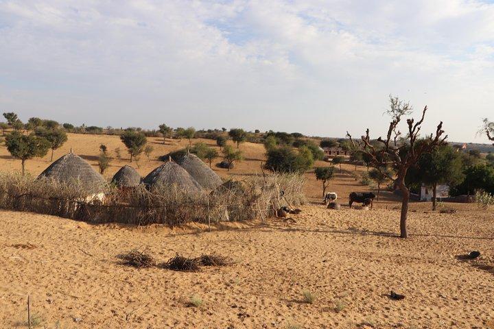 Half Day Osian Village Safari Tour with a Meal