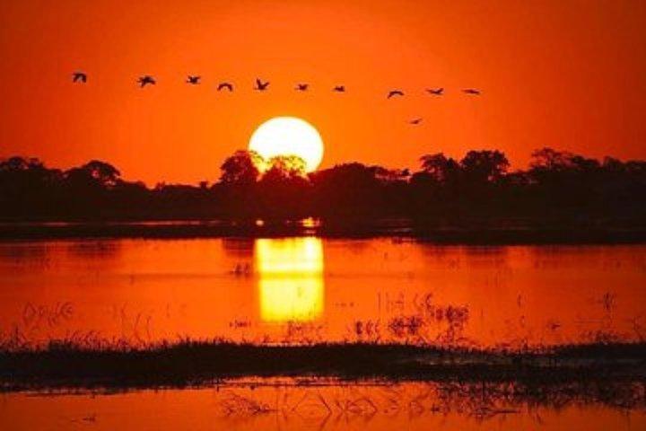 Sunset Cruise on the Zambezi River