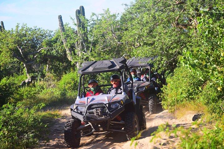 Cabo Migrino Beach & Desert Tour (Triple UTV)