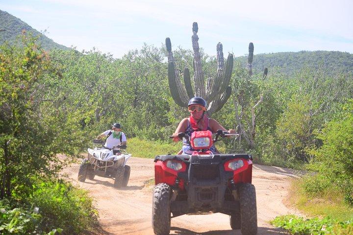Cabo Original Real Baja 1000 Tour (Single ATV)