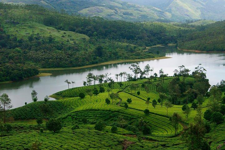 7 nights Private tour Cochin/Munnar/Thekkady/Houseboat/Kovalam