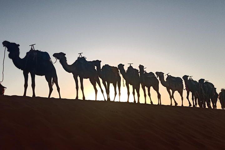 Merzouga Desert 3 days tour From Marrakech
