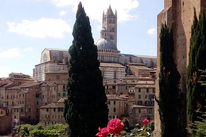 2 hour Siena Private Guided Walking Tour
