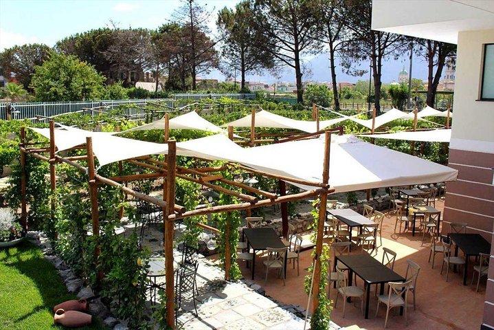 Pompeii & Vesuvius with Lunch & Wine Tasting from Amalfi Coast