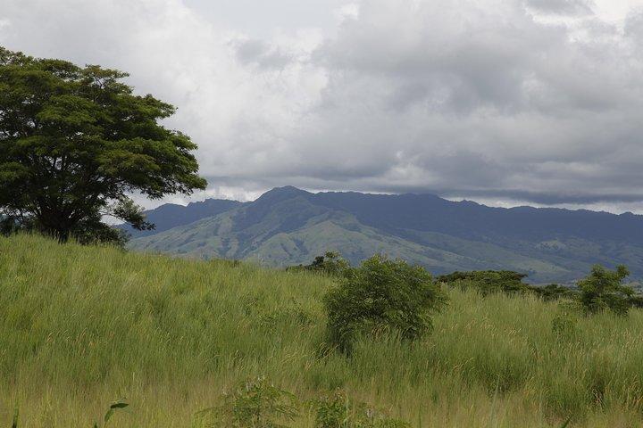 Fiji Local Village, Market, Temple & Garden of Sleeping Giant with Mud Pool Tour