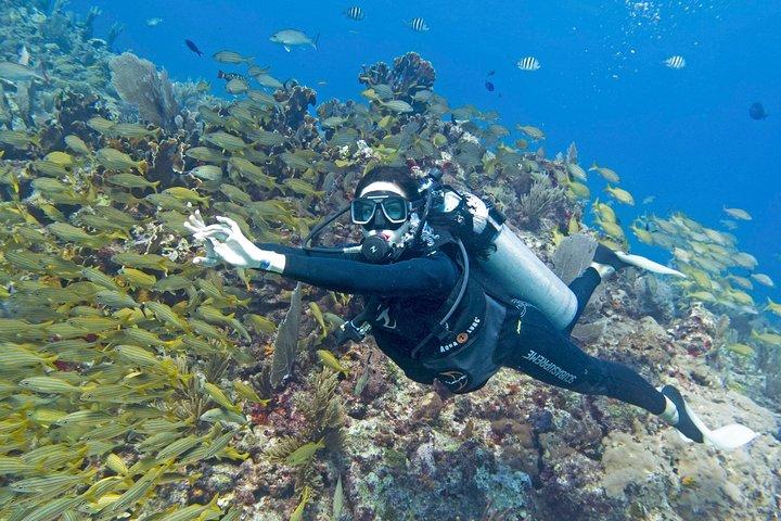 Try Dive in Cancun Underwater Museum