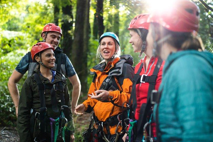 The Original Canopy Zipline Experience Private Tour From Auckland