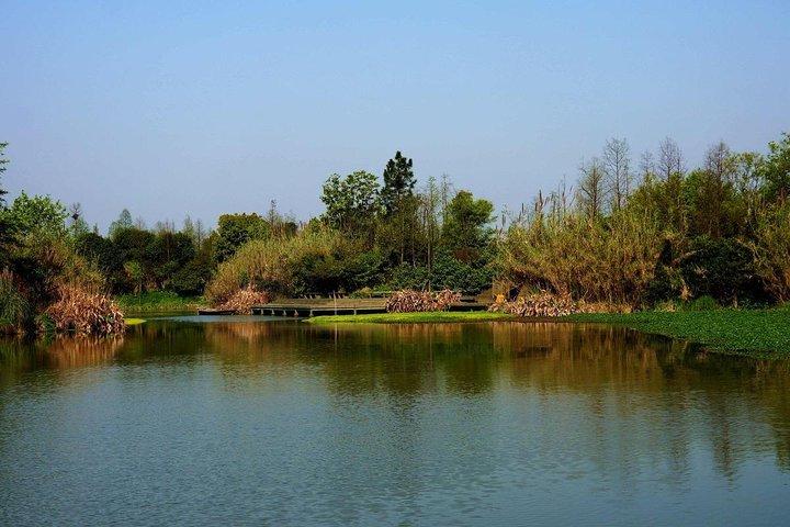 A Depth-Tour to Explore Xixi Wetland Park in Hangzhou