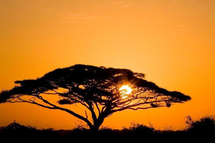 2 Days Amboseli Private Safari