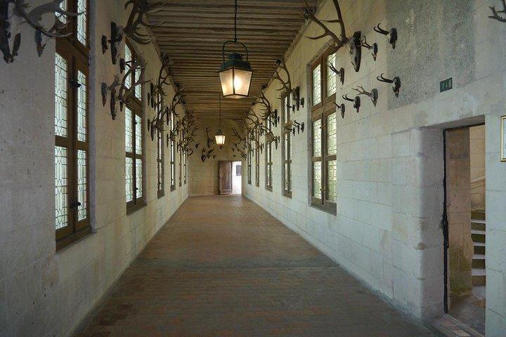 Chambord Castle: Private Guided Walking Tour
