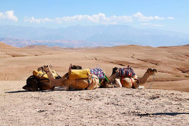 Marrakech: Desert Agafay and Berber villages Day Tour