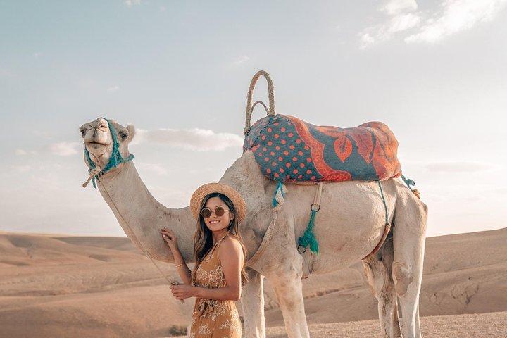 Marrakech: Desert Agafay and Berber villages Day Tour