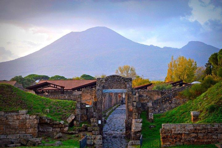 Pompeii Private Tour From Rome with Guide and Entrance tickets