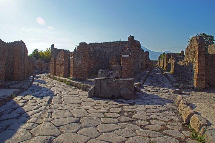 Pompeii Private Tour From Rome with Guide and Entrance tickets