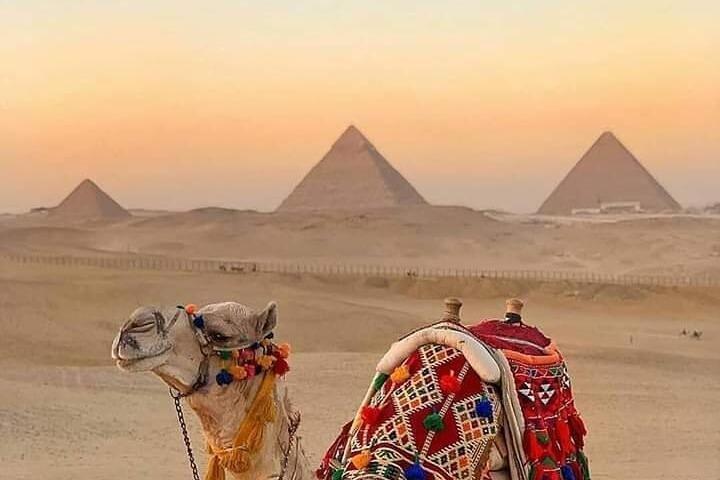 Ride a Camel Around the Pyramids (Includes BBQ Dinner)