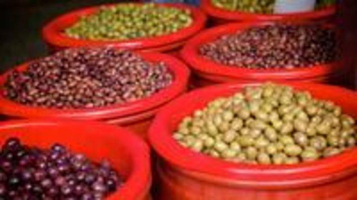 Athens Gourmet Food Small Group Walking Tour