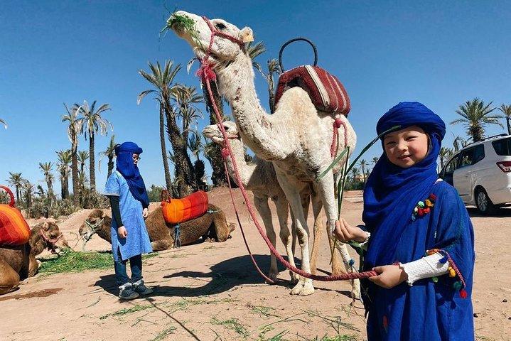 Ultimate Marrakech Desert Adventure: Camel Rides & Buggy Thrills