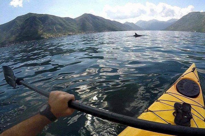 Kayak active tour