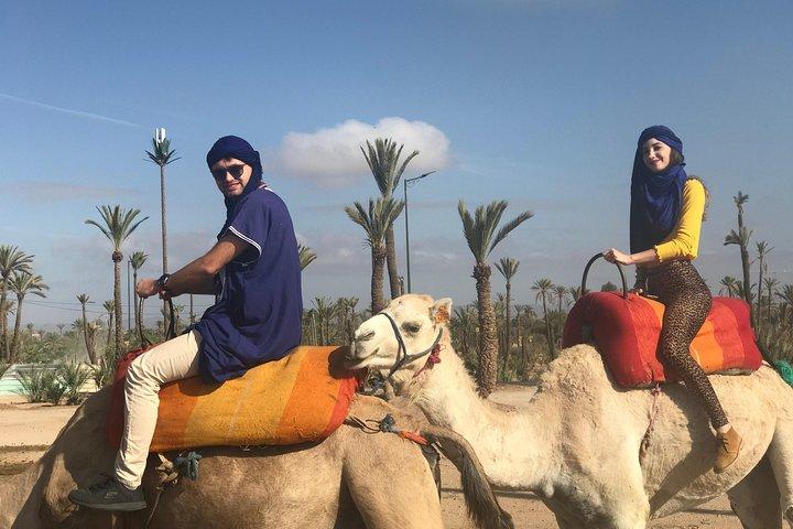Marrakech Beautifull Sunset Camel Ride Experience