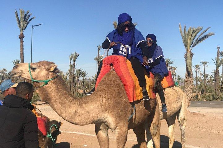 Marrakech Beautifull Sunset Camel Ride Experience