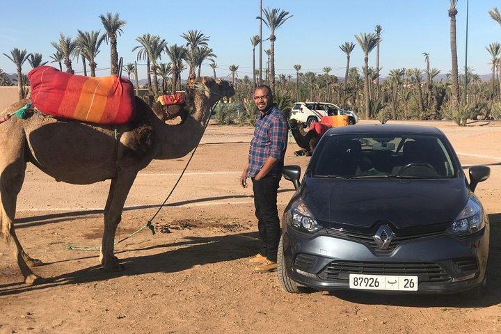 Marrakech Beautifull Sunset Camel Ride Experience