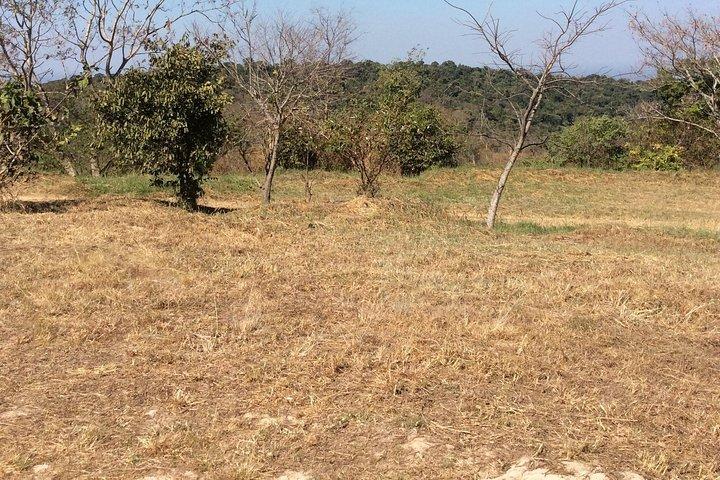 Preah Vihea Temple Tour by Car