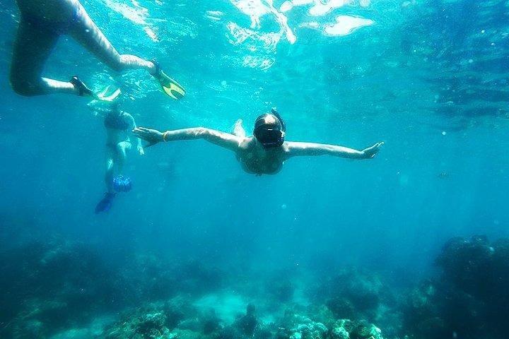 Full-Day Racha Noi and Racha Yai Snorkeling from Phuket