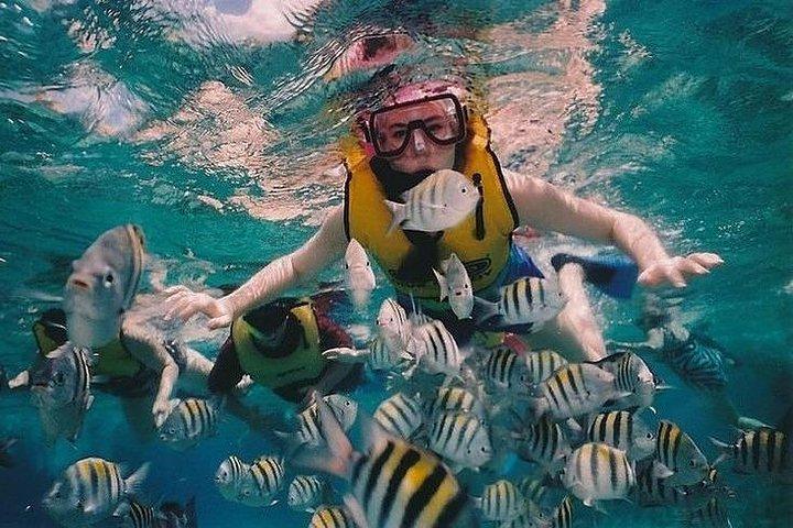 Full-Day Racha Noi and Racha Yai Snorkeling from Phuket
