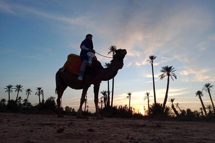 Marrakech Beautifull Sunset Camel Ride Experience