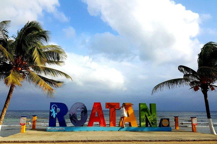 West End Tour (Choco Factory + Rum Company + Art Gallery + Rusty Fish and more)