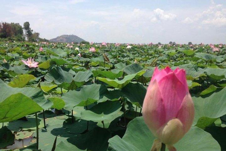 Private Tour Prek Toal Bird Sanctuary Off Beaten Track