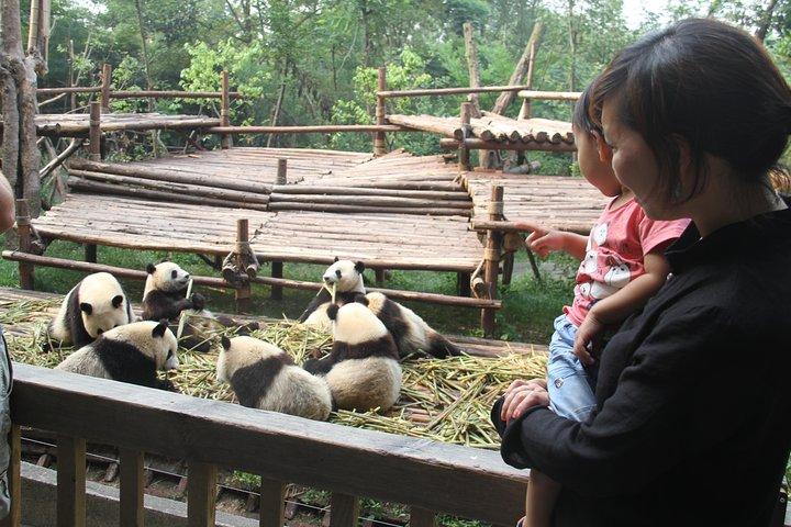 3-Day Chengdu tour to Panda Base,Renmin Park,Jinsha Site Museum and Wuhou Temple