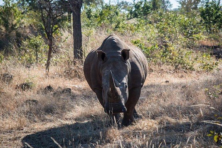 Game Drive into the Musi Otunya National Park
