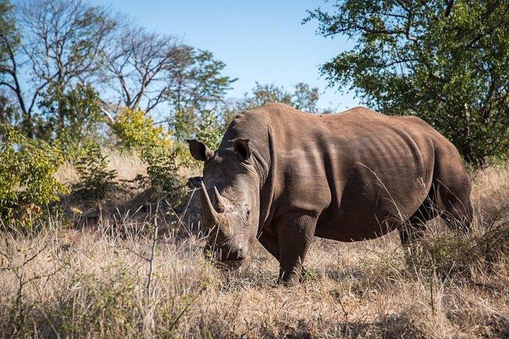 Game Drive into the Musi Otunya National Park