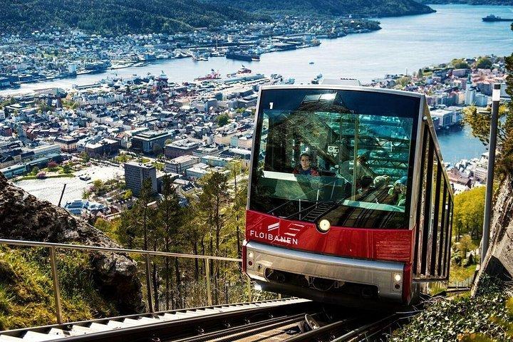 Private Guided City Sightseeing - Bergens Top Attractions