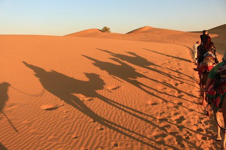 Sunrise Desert Safari