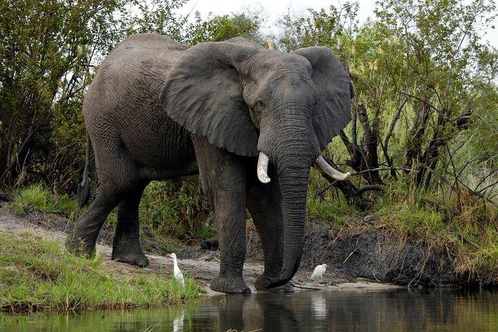 2 Hours Sunset Cruise along the Zambezi River