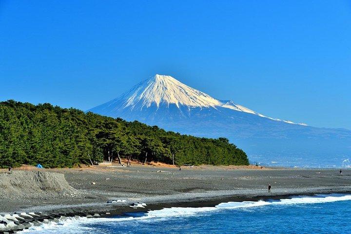 Mt. Fuji View Shimizu Customized Tour with Licensed Guide